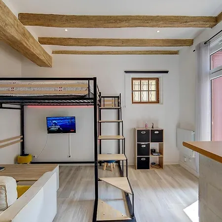 Apartment Au Coeur De Tours